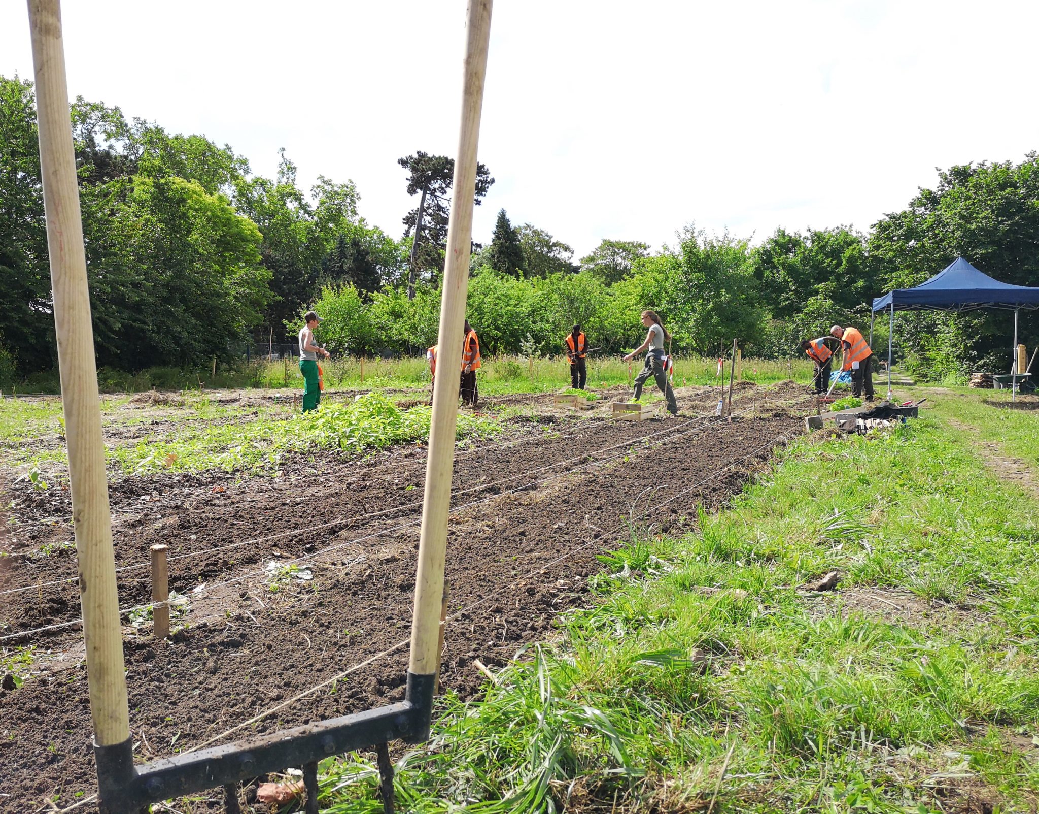 O’Potager du Bois sur le « Mag Farmitoo »